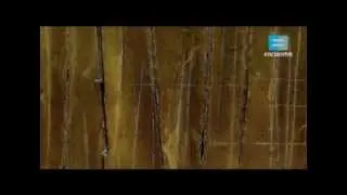 Huellas. Arte argentino: Lucio Fontana - Canal Encuentro