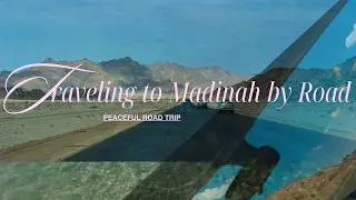 Road travel | palm trees | Madinah | saudi Arabia