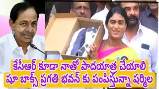 కేసీఆర్  నాతో పాదయాత్ర #షూ బాక్స్ ప్రగతి భవన్ కు పంపిస్తున్నా షర్మిల#telangana #kcr#y s Sharmila