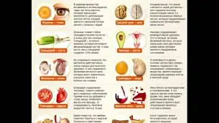 Продукты и части тела человека. Что нужно есть для решения конкретных проблем.