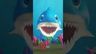 Let&rsquo;s learn about SHARKS TEETH! #tinieterra #tinieterratv #sharkteeth #learnwithme