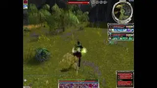 Guild Wars Walkthrough M+B Factions #2 Zen Daijun (1/1) [Normal Mode]