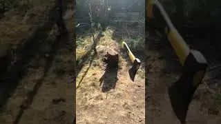 Hitting wood with thrown axe #2