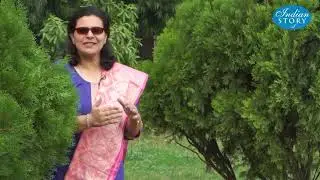 INDIAN STORY KULDIP ATTRI ATTRI TECH MACHINES