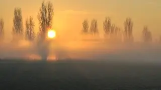 E a giro come un pampano