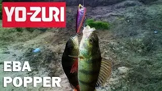 Воблер Yo Zuri Eba Popper