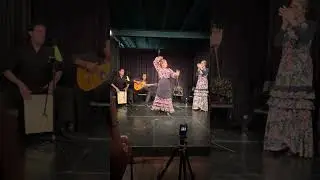 #music #mumbai #india #flamenco #dance #viral #youtube #video #viralvideo #ytshorts #bandra #theatre