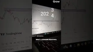 The end of 2023 finally comes to an end #newyear #2024 #trading #happynewyear #tradytales #now #live