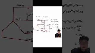 Circuitos Eléctricos