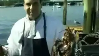 Sammy's Shrimp Box on City Island