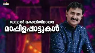 കേട്ടിരുന്നവർ ഒന്നടങ്കം ഏറ്റുപാടിയ മാപ്പിളപ്പാട്ടുകൾ Kannur Shareef Mappilappattukal Nonstop Mappila