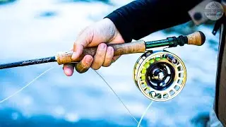 Best Fly Fishing Rods 2024 - Top 5 Best Fly Fishing Rods On Amazon