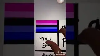 Omnisexual flag
