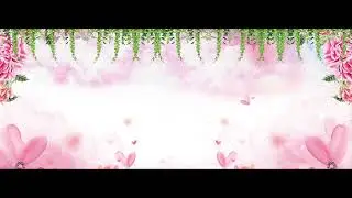 wedding invitation photo frame background green screen wedding animation