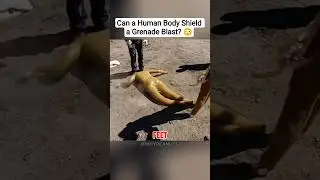 Can a Human Body Shield a Grenade Blast? 😳#shorts