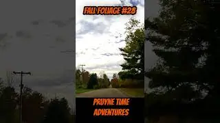 FALL FOLIAGE #28: Steuben County Backroads Burn in Color. Corning? Erwin? Coopers Plains? Hornby