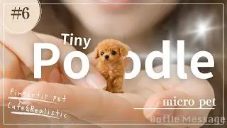 Micro Puppy Poodle on My Finger｜Baby Dog｜Ultra-Realistic Micro Pets｜Fingertip Animals｜ASMR  #6