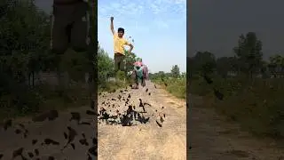 Dinosaur Attack || This is short so funny 😂#shorts #dinosaur #funny