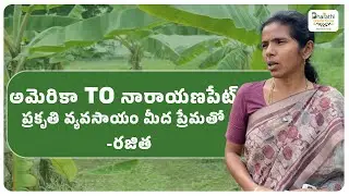 From The USA to the Soil of Narayanapeta Rajithas Journey into Natural Farming #bharathiorganicfarms