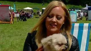 Local Legend - Lucy Heath And Trip Hazard! 🐶