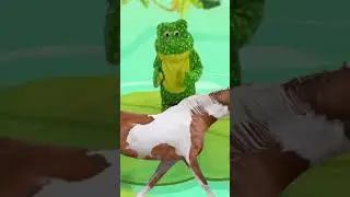 Dancing Frog 2 movement song for kids #locomotionandmovement  #movementsongs #brainbreak