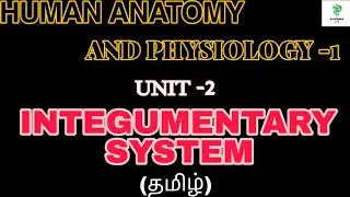 INTEGUMENTARY SYSTEM | HUMAN ANATOMY AND PHYSIOLOGY -1 | TAMIL|PHARMA LITE