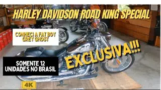 HARLEY DAVIDSON FAT BOY GRAY GHOST - Meet this rarity that appeared there at Raulzito - RRCYCLES