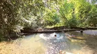 BROOKSWOOD LANGLEY BC, CANADA 🇨🇦