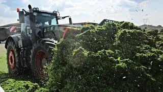 Fendt 936 & LT 400 - Pushing Silage 2018 - Team Sandrini