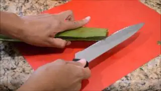 How to Cut an Aloe Vera Leaf and Make Aloe Gel