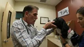 Dr. Bruce Vogel
