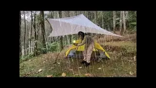 Solo camping in heavy rain,solo female tent camping & relaxing solo camping live