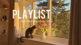 Slow Morning Music Vibe | Hope you enjoy! 
