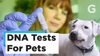 We Tested DNA of a Cat and Dog