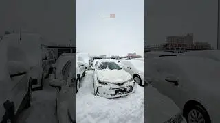Toyota Corolla  доступна под заказ❗️