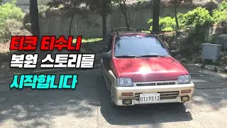 티코 티수니 프로젝트의 시작