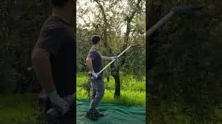 Mondial 12 Volpi &ndash; Scuotitore leggero e professionale per raccolta olive | Motore brush
