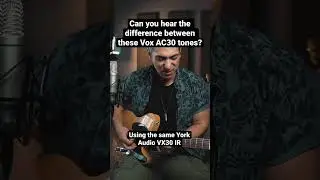 UAFX Ruby '63 vs Strymon Iridium face off!
