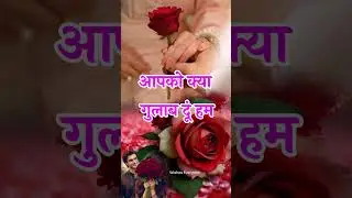 rose day 🌹 love shayari in hindi 🌹 mohabbat shayari 🌹 #roseday #love #shorts