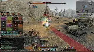 [Bless Online] Field Frost Boss Paladin POV