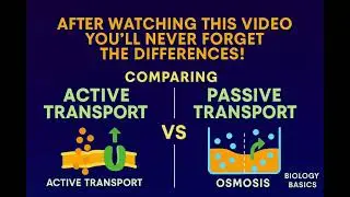 Active vs Passive Transport | 10 Key Differences Simplified #biologybasics #neetbiology #biology