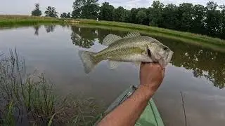 New Pond Adventures
