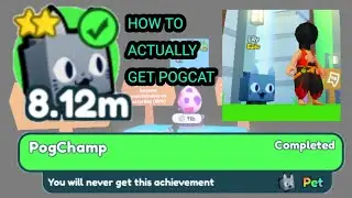 How To ACTUALLY Get *POG CAT* in Pet Simulator X