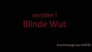 ver&ouml;den !  - Blinde Wut - Punk
