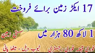 #Agriculture land for sale in Punjab Pakistan  | zameen for sale in Punjab Pakistan | #landforsale 