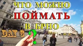 Brno, a souvenir fell from the clock. Astronomical clock. Caught a ball from the clock in Brno.