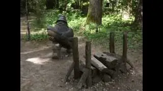 17.06.2015 - Tērvetes dabas parks - Nature Park - Природный парк, Tērvete, Latvija &ndash; Latvia - Латвия