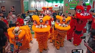Barongsai dan Dewa Rezeki mengunjungi toko herbal, membawa keberuntungan dan rezeki melimpah