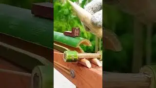 Bamboo + Creativity = Ultimate DIY Weapon! 🔫🔥 #Woodworking #BambooCraft