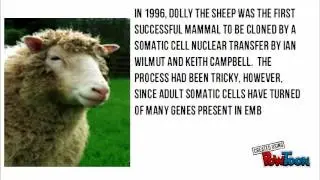 History of Cloning